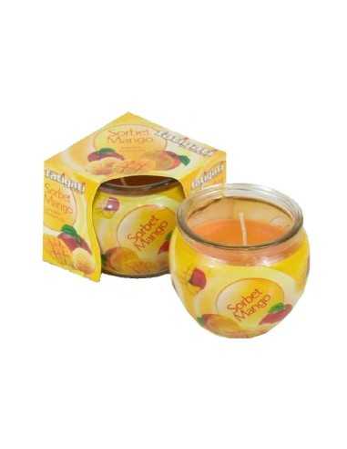 CANDELA PROFUMATA SORBETTO E MANGO 