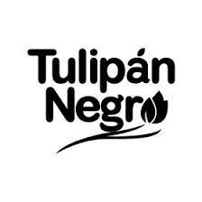 TULIPAN NEGRO